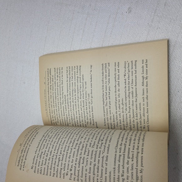 3/$10 The Rice Room: Growing Up Chinese-American - Picture 13 of 13